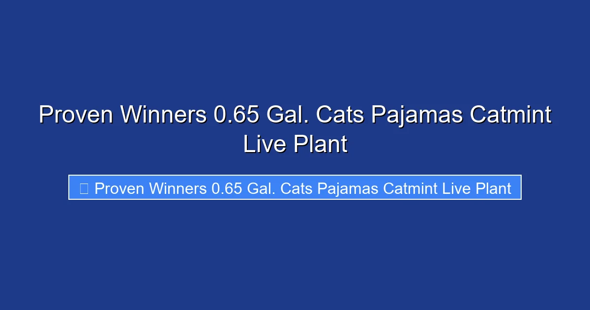 Proven Winners 0.65 Gal. Cats Pajamas Catmint Live Plant