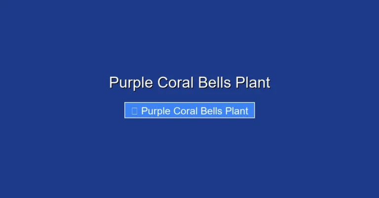 Purple Coral Bells Plant