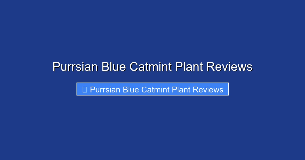 Purrsian Blue Catmint Plant Reviews