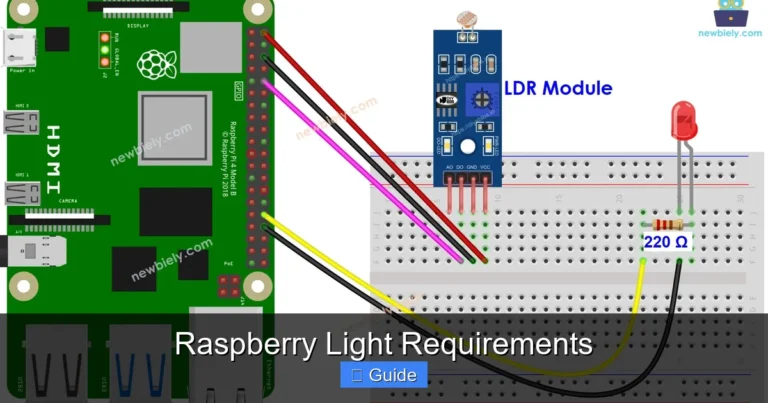 Raspberry Light Requirements