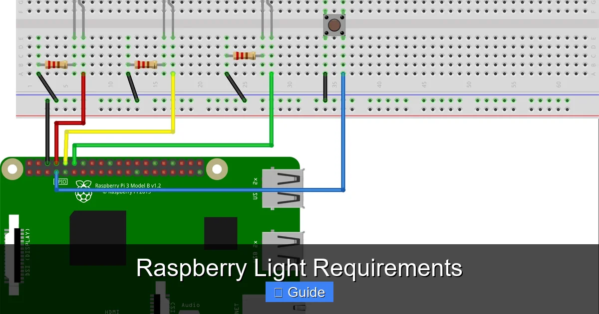 Raspberry Light Requirements