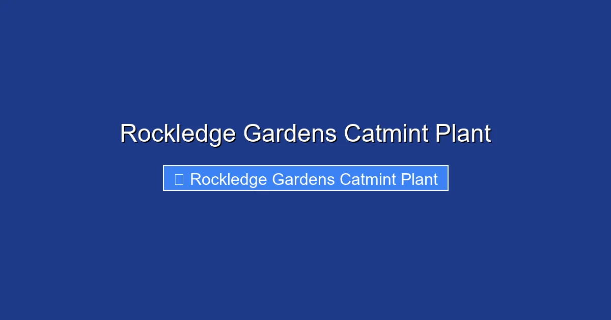 Rockledge Gardens Catmint Plant