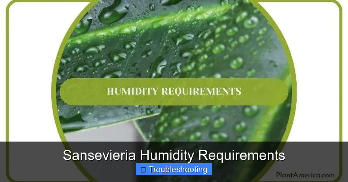 Sansevieria Humidity Requirements