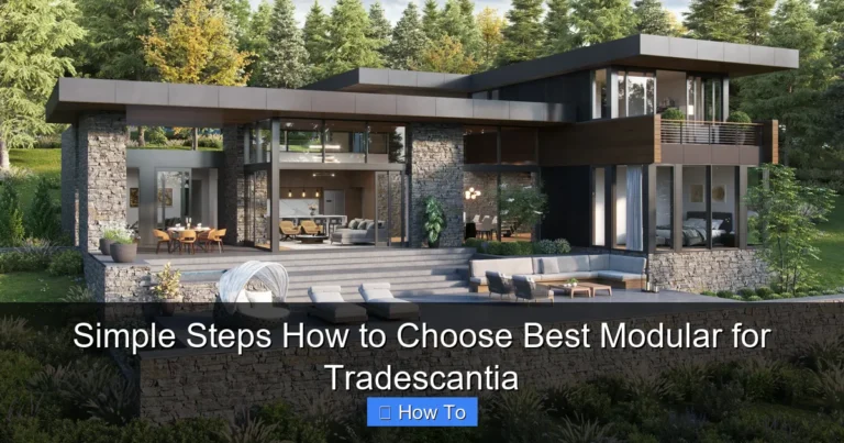 Simple Steps How to Choose Best Modular for Tradescantia