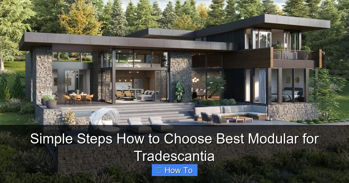 Simple Steps How to Choose Best Modular for Tradescantia