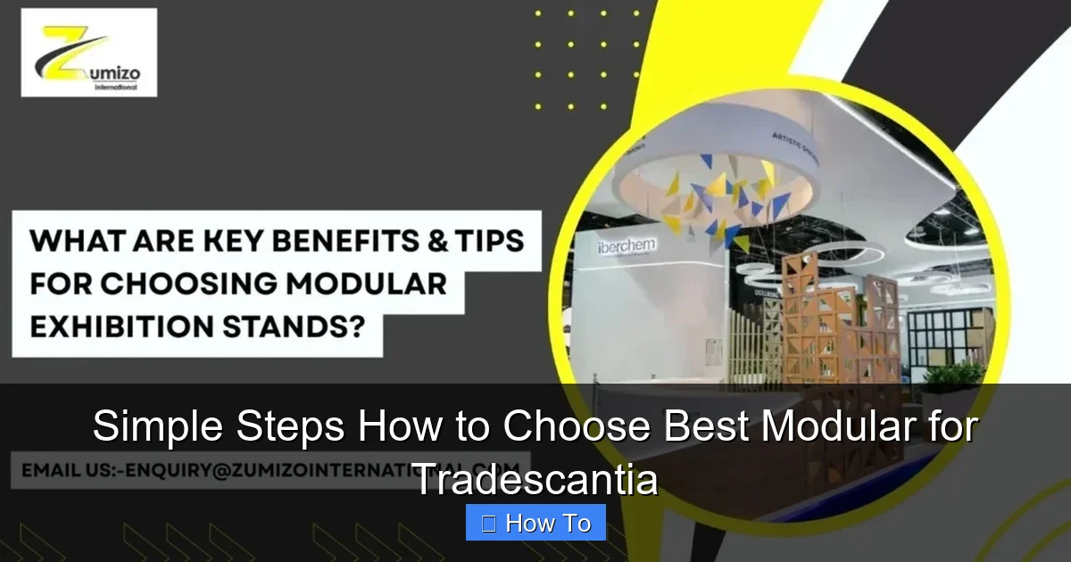 Simple Steps How to Choose Best Modular for Tradescantia