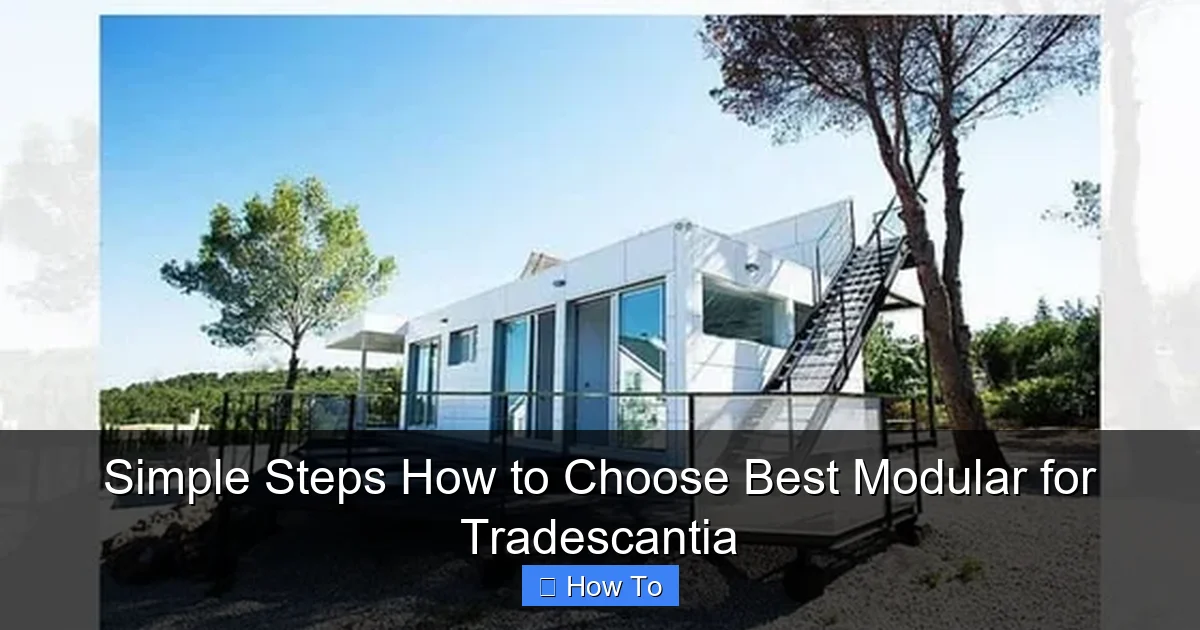 Simple Steps How to Choose Best Modular for Tradescantia
