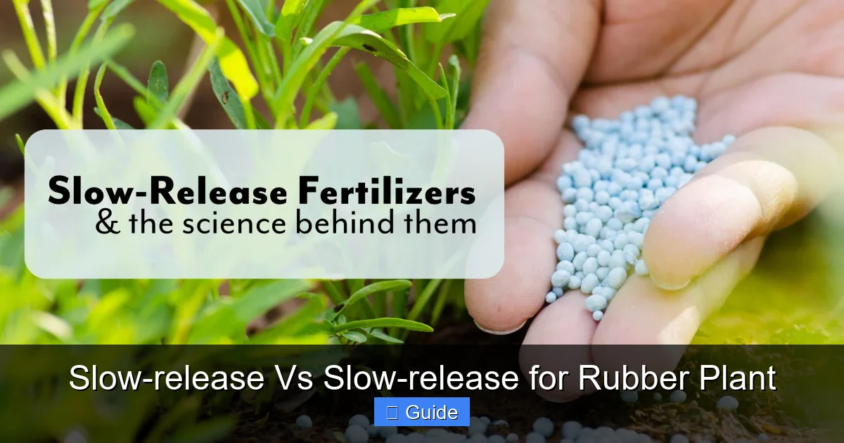 Slow-release Vs Slow-release for Rubber Plant