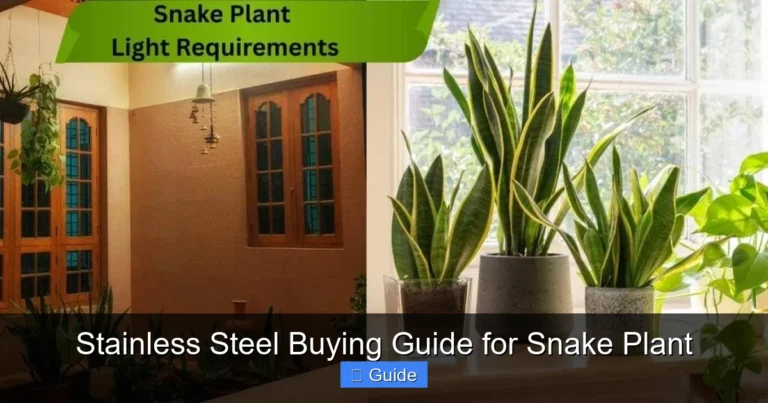 Stainless Steel Buying Guide for Snake Plant
