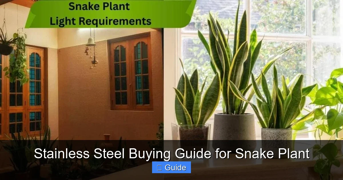 Stainless Steel Buying Guide for Snake Plant