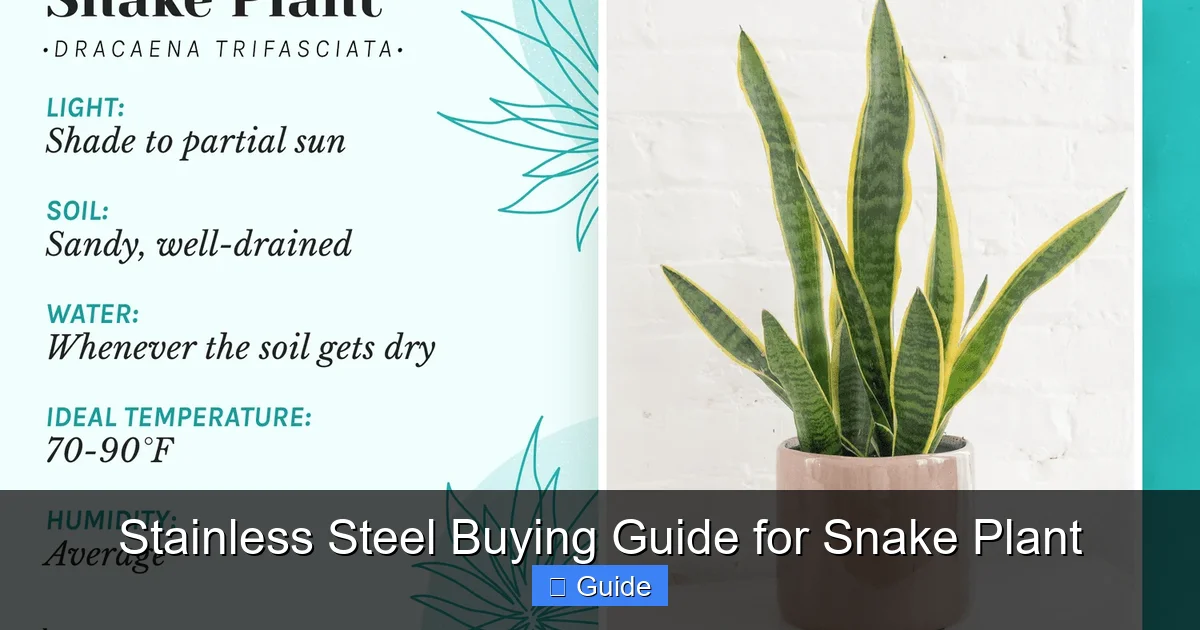 Stainless Steel Buying Guide for Snake Plant