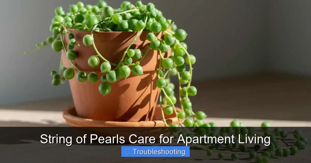 String of Pearls Care for Apartment Living
