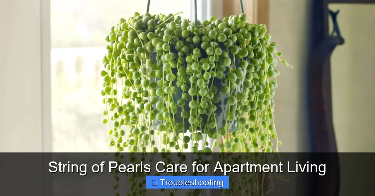 String of Pearls Care for Apartment Living