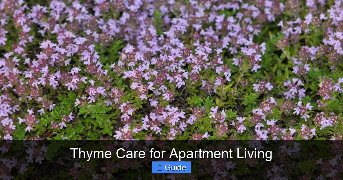 Thyme Care for Apartment Living