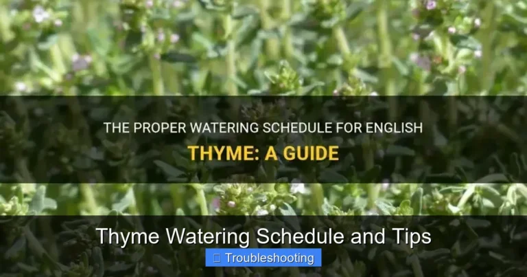 Thyme Watering Schedule and Tips