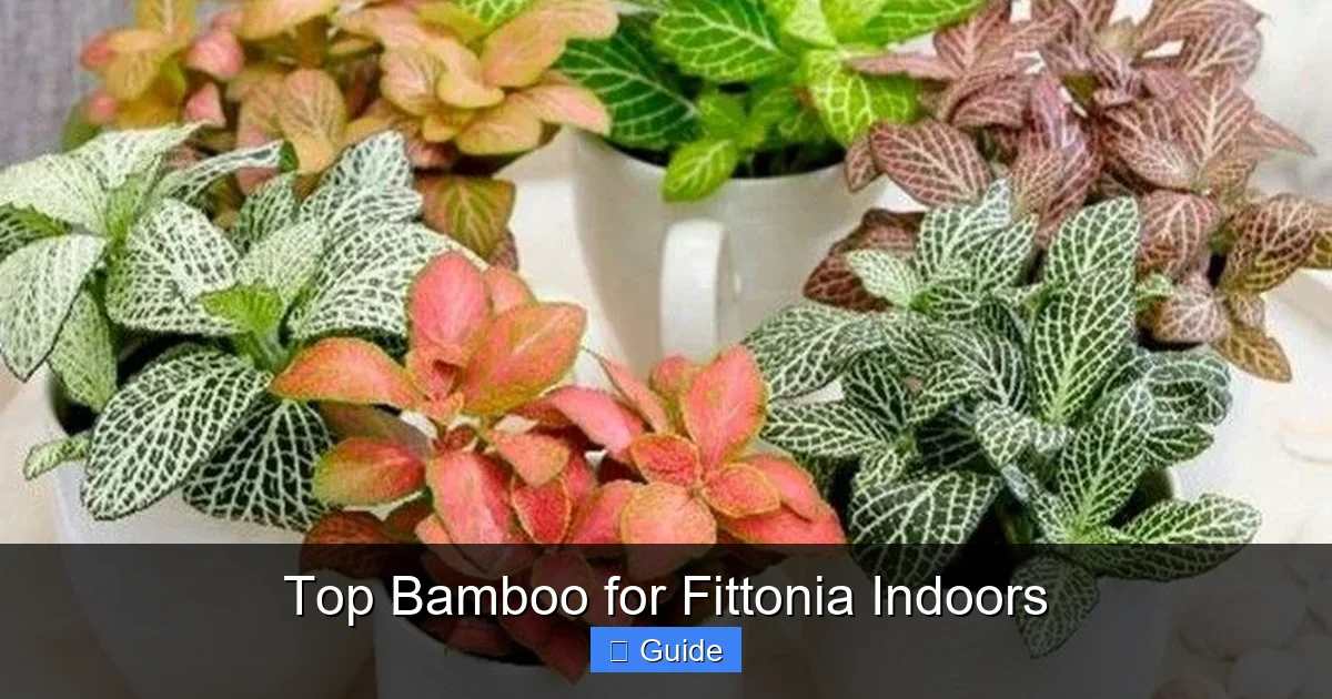 Top Bamboo for Fittonia Indoors