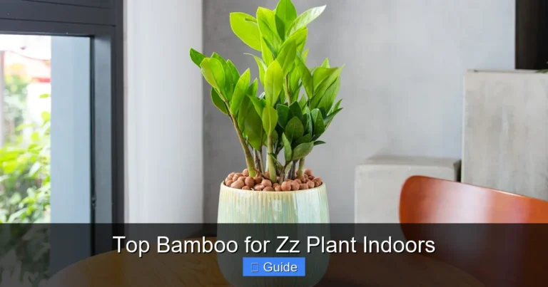 Top Bamboo for Zz Plant Indoors