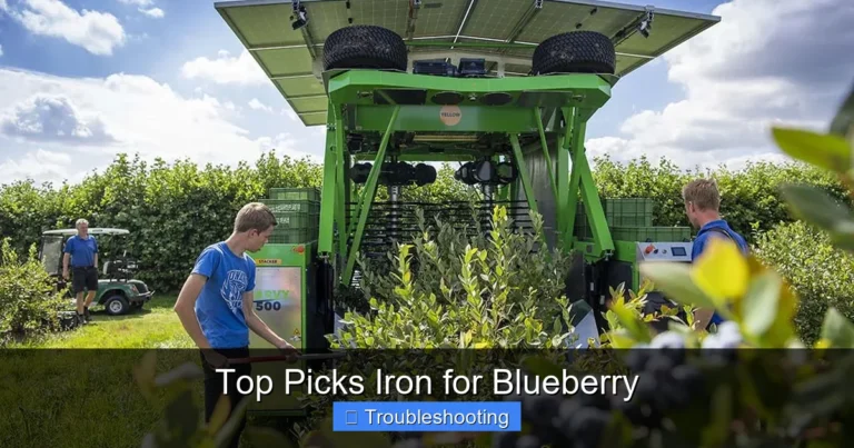 Top Picks Iron for Blueberry