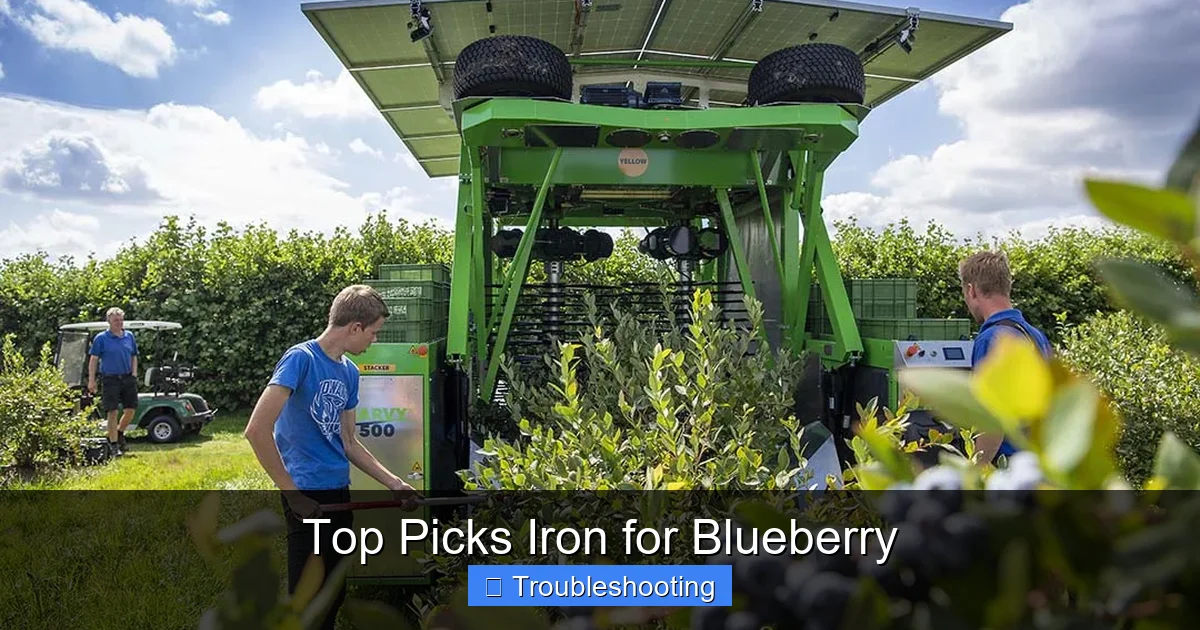 Top Picks Iron for Blueberry