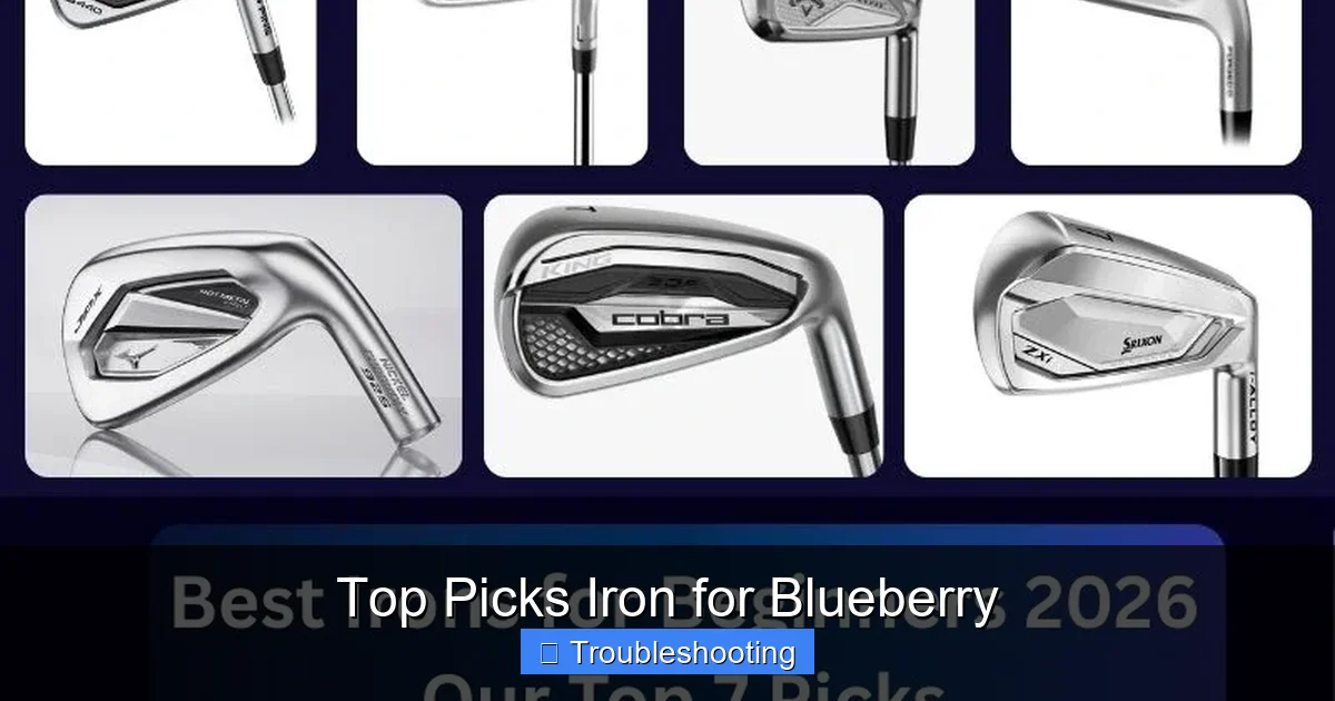 Top Picks Iron for Blueberry
