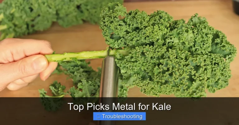 Top Picks Metal for Kale