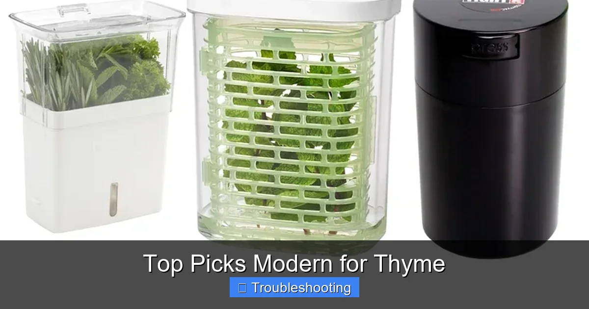 Top Picks Modern for Thyme