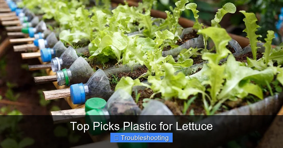 Top Picks Plastic for Lettuce
