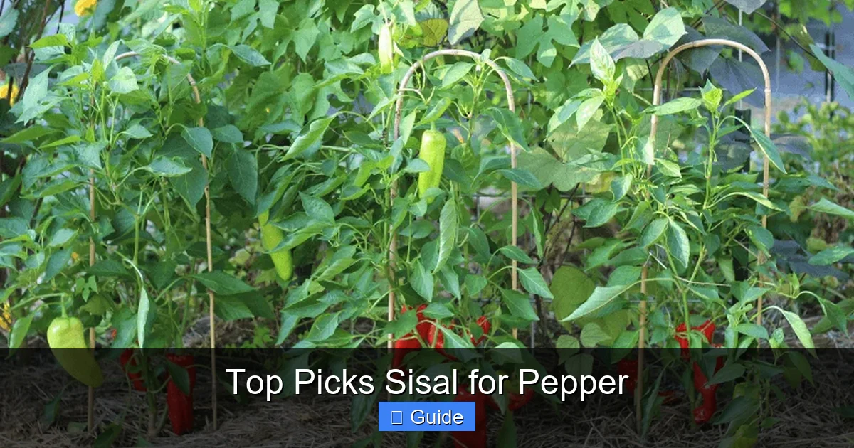 Top Picks Sisal for Pepper