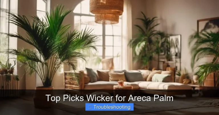 Top Picks Wicker for Areca Palm