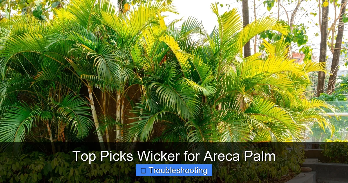 Top Picks Wicker for Areca Palm
