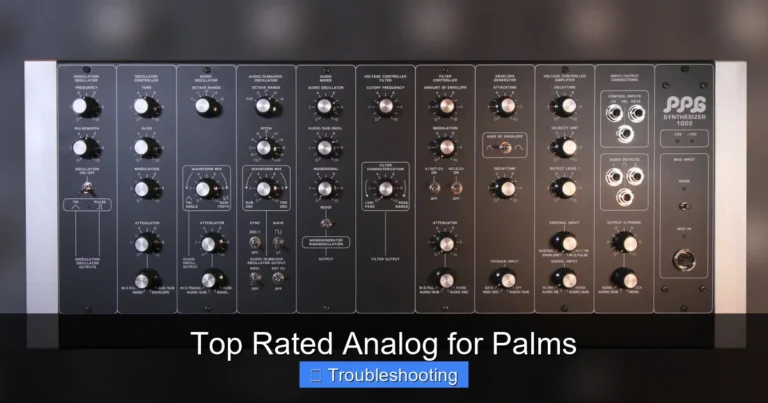Top Rated Analog for Palms
