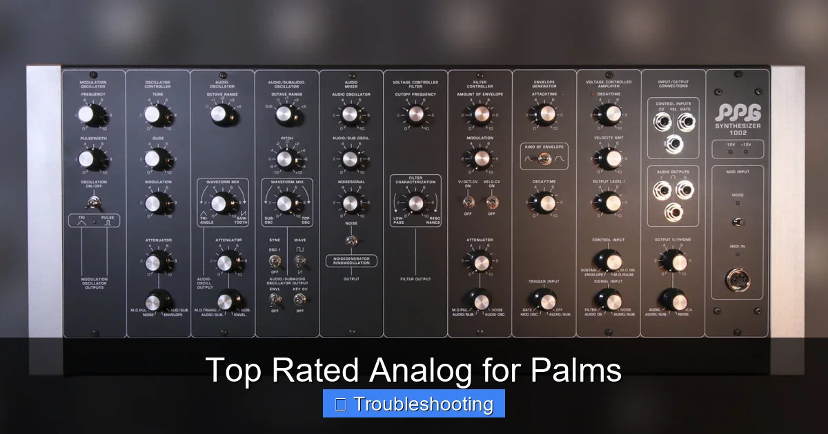 Top Rated Analog for Palms