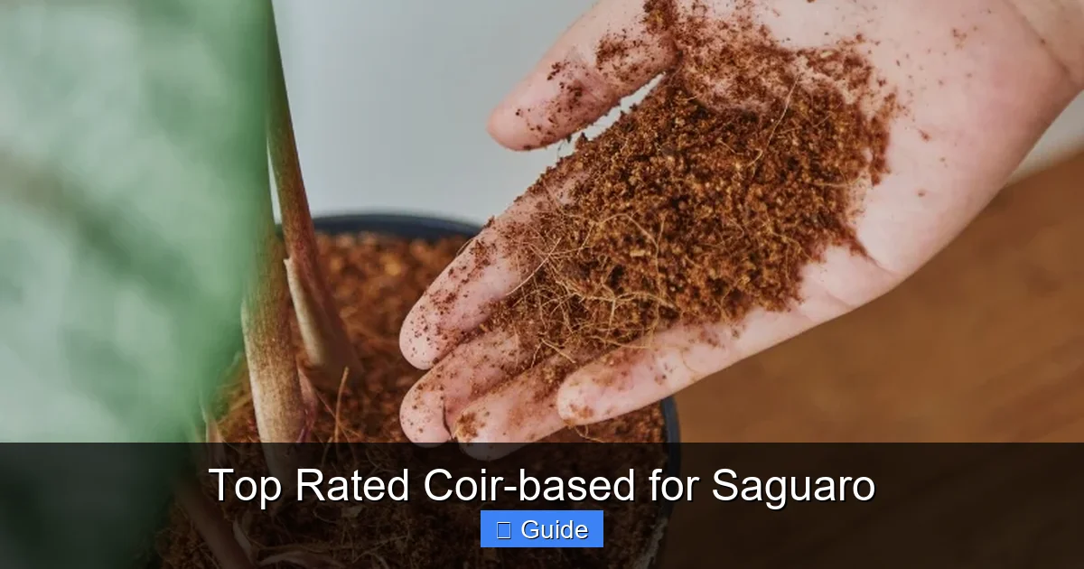 Top Rated Coir-based for Saguaro