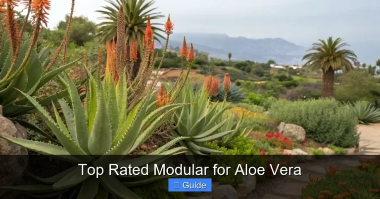 Top Rated Modular for Aloe Vera