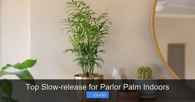 Top Slow-release for Parlor Palm Indoors