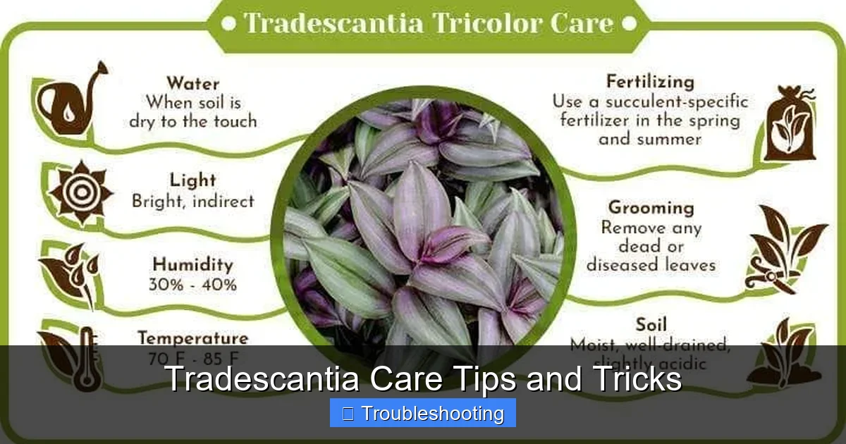 Tradescantia Care Tips and Tricks
