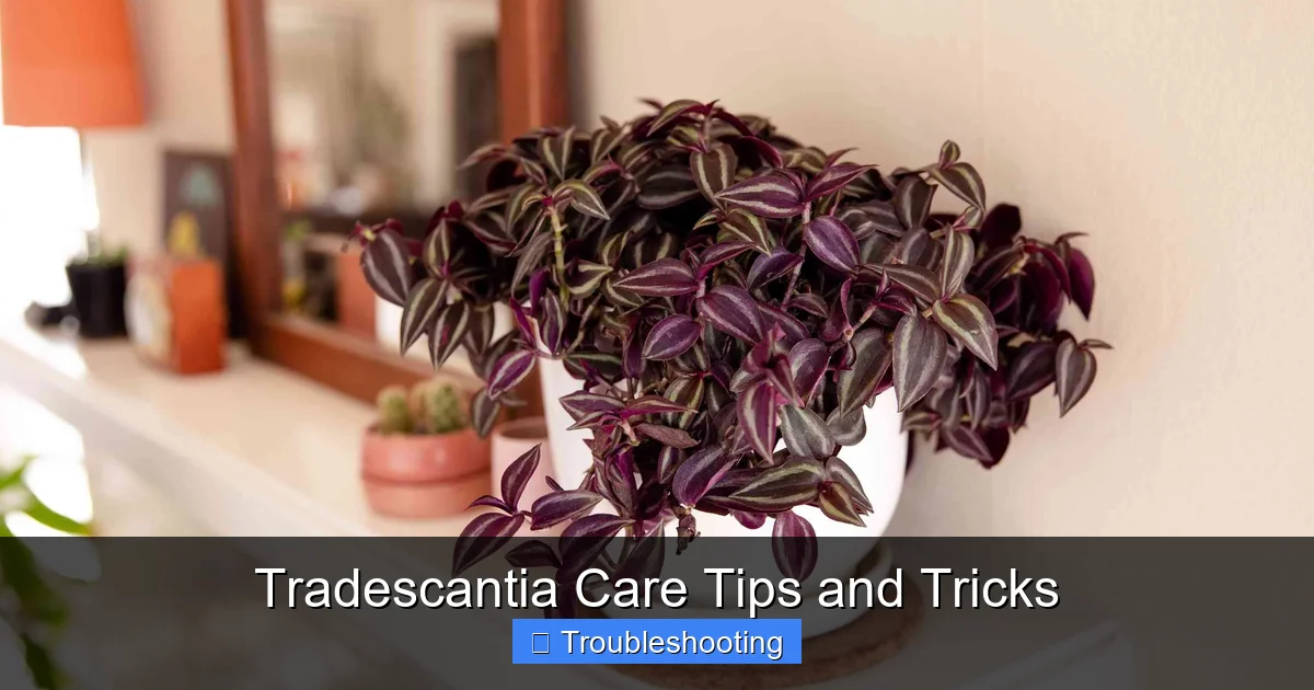 Tradescantia Care Tips and Tricks