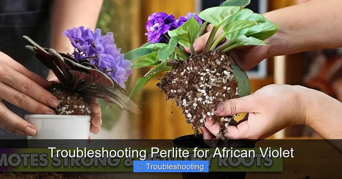 Troubleshooting Perlite for African Violet
