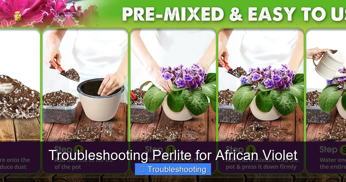 Troubleshooting Perlite for African Violet