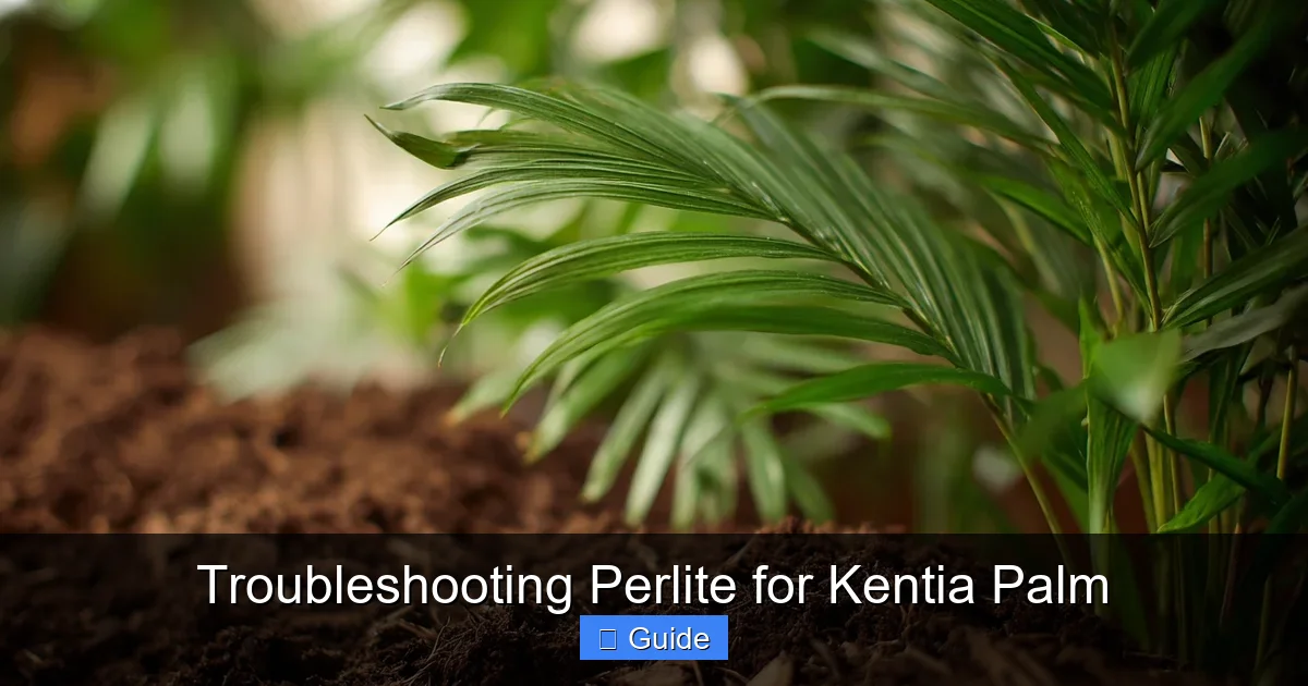 Troubleshooting Perlite for Kentia Palm