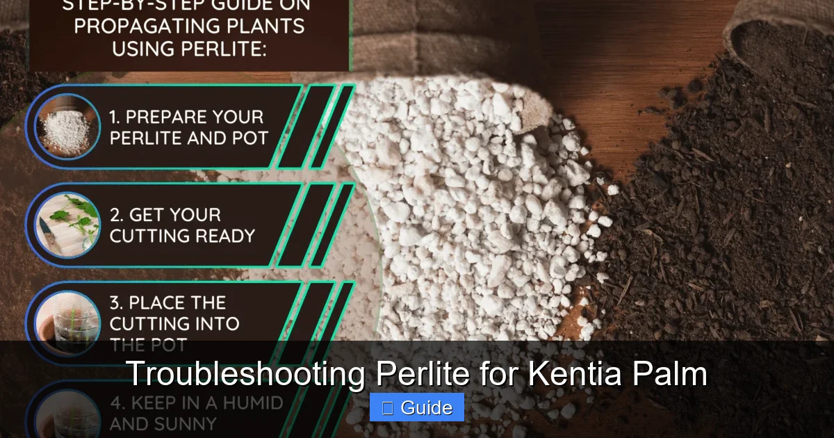Troubleshooting Perlite for Kentia Palm