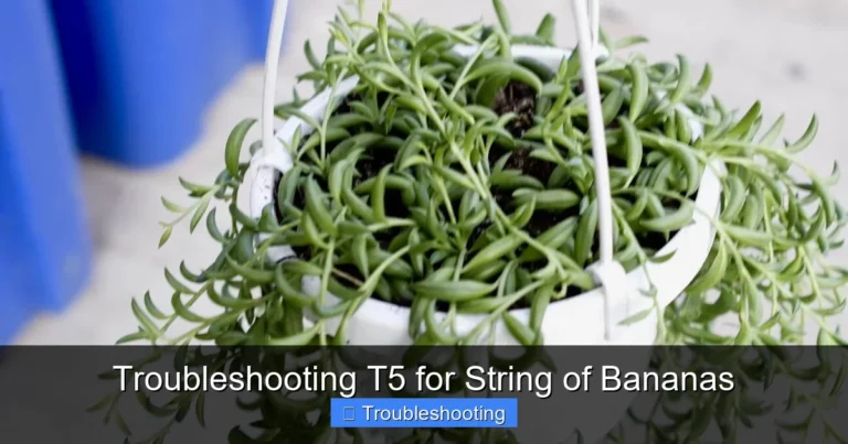 Troubleshooting T5 for String of Bananas