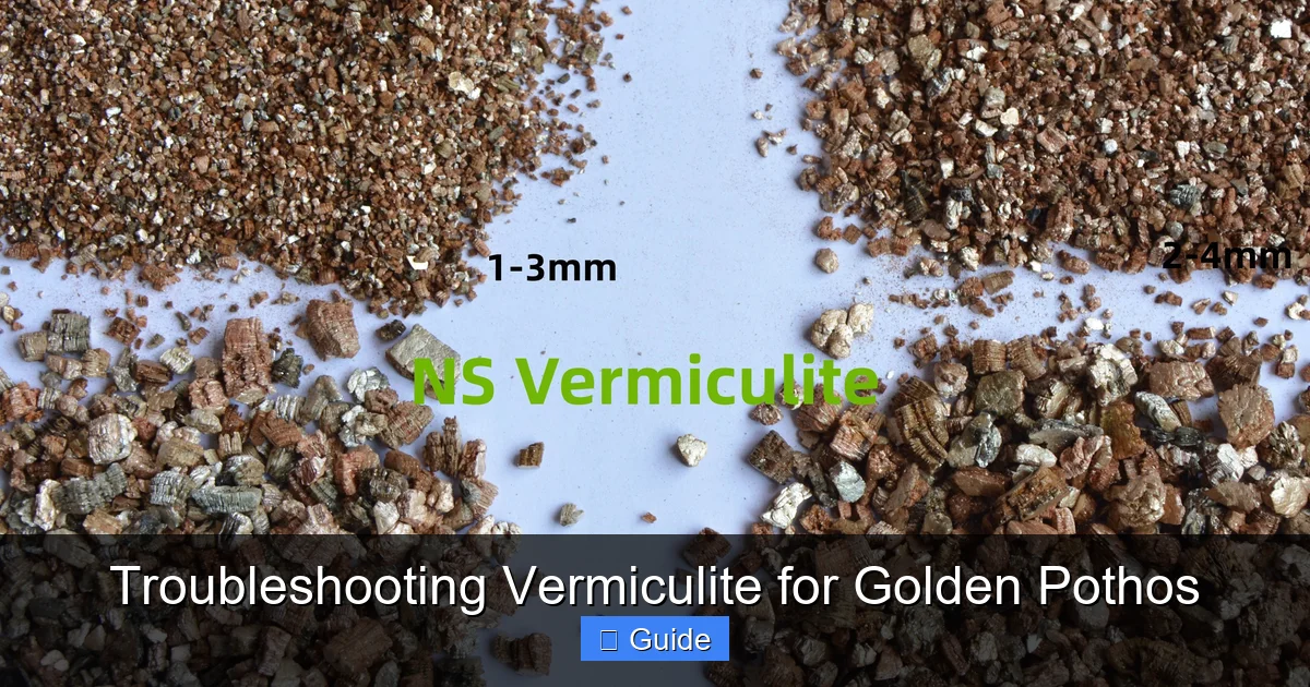 Troubleshooting Vermiculite for Golden Pothos