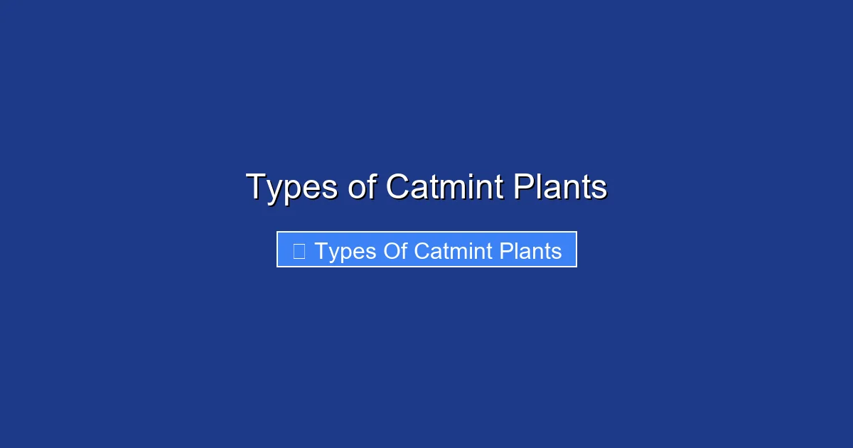 Types of Catmint Plants