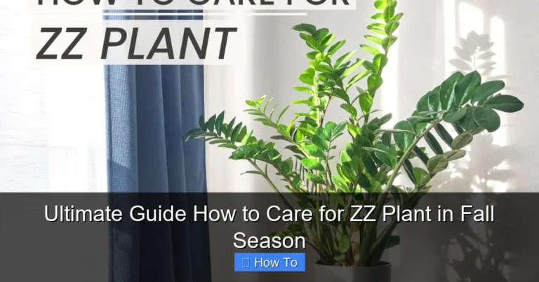 Ultimate Guide How to Care for ZZ Plant in Fall Season