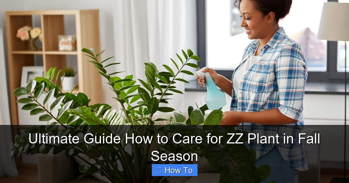 Ultimate Guide How to Care for ZZ Plant in Fall Season