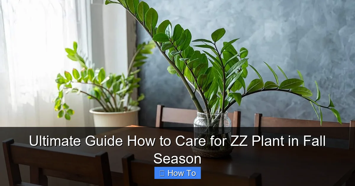 Ultimate Guide How to Care for ZZ Plant in Fall Season