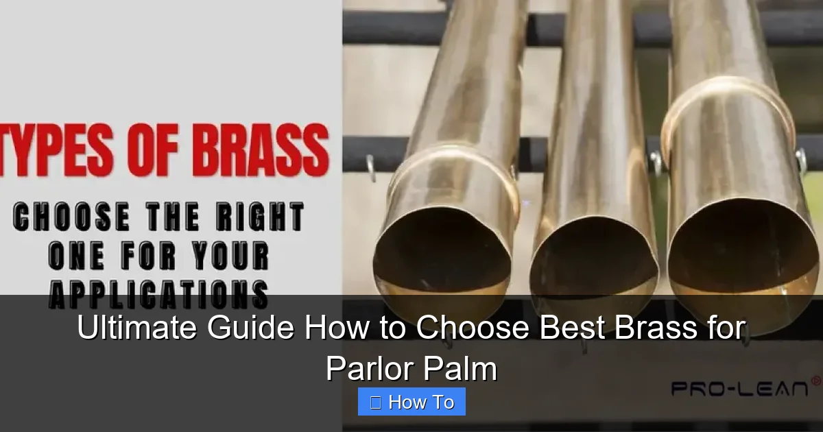 Ultimate Guide How to Choose Best Brass for Parlor Palm