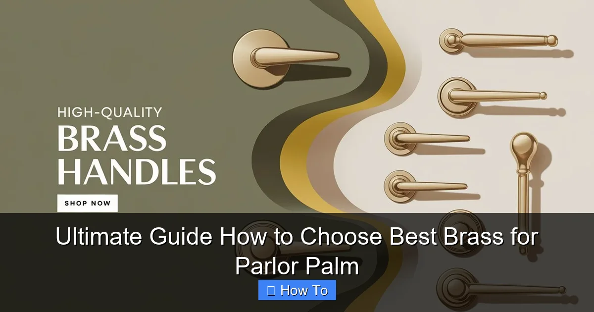 Ultimate Guide How to Choose Best Brass for Parlor Palm