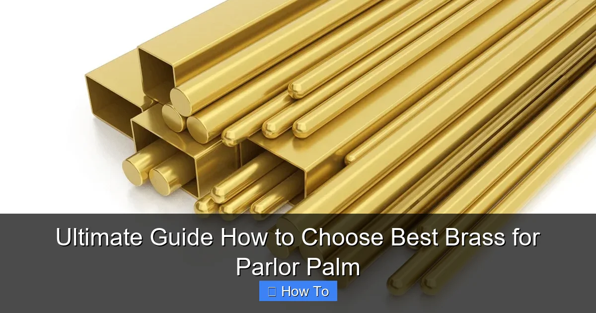 Ultimate Guide How to Choose Best Brass for Parlor Palm